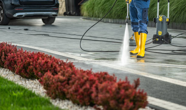 Best Pool Deck Cleaning  in Hartley, IA